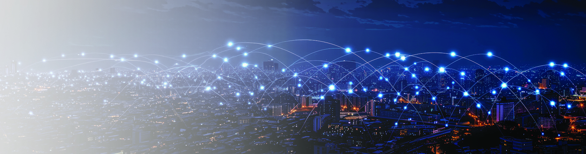 network service banner_V1 copy